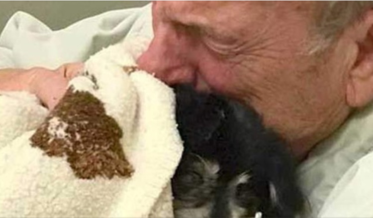 Man Dies After Losing Beloved Four-Legged Friend Of 14 Years