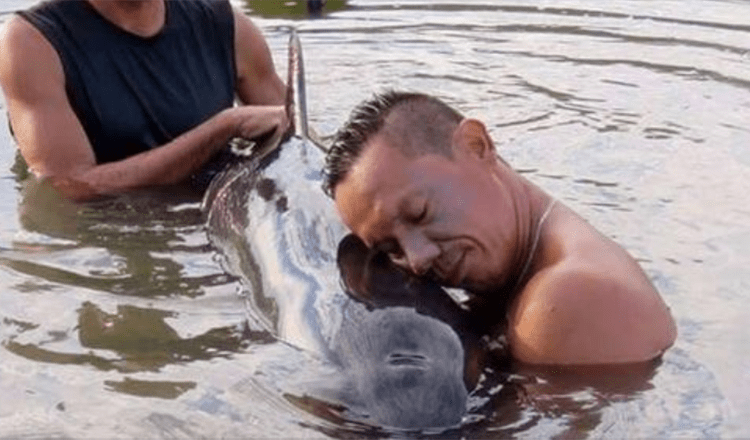 Surfers Hear Baby Whale Crying And Come Running To Help Her