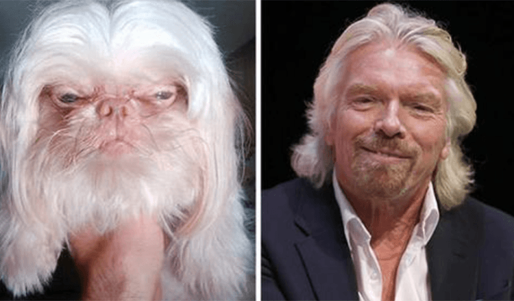 21 Animals And Their Celebrity Doppelgangers