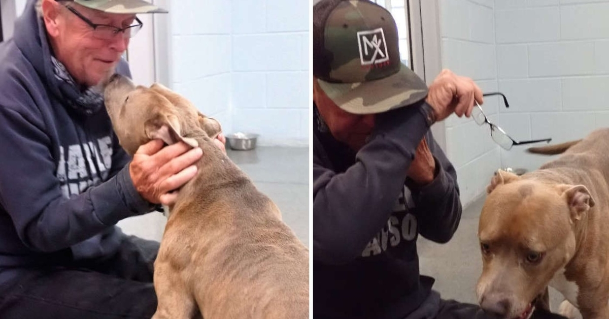 Dog Can’t Believe His Dad Finally Found Him After 200 Days