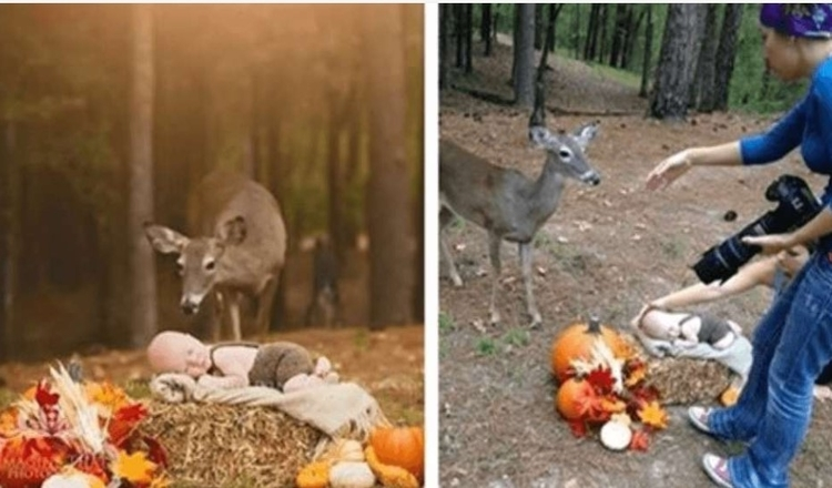 Baby Boy’s Outdoor Photo Shoot Takes A Whimsical Turn When Uninvited Deer Shows Up