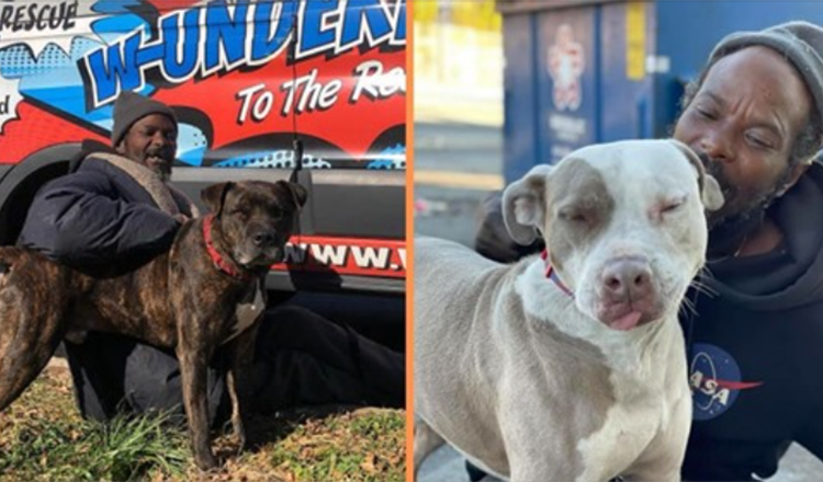 Homeless Man Rushes Into Burning Animal Shelter Saving Every Animal