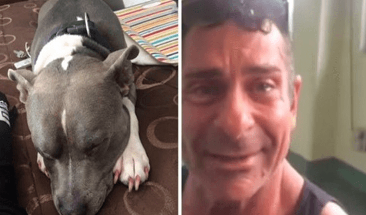 Man Reunites With His Stolen Dog Just Two Days Before He Was Scheduled To Be Euthanized