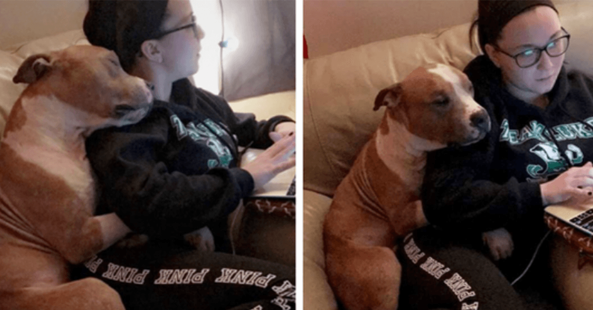 A Woman Adopted A Pit Bull, And Their First Photo Took Over The Internet