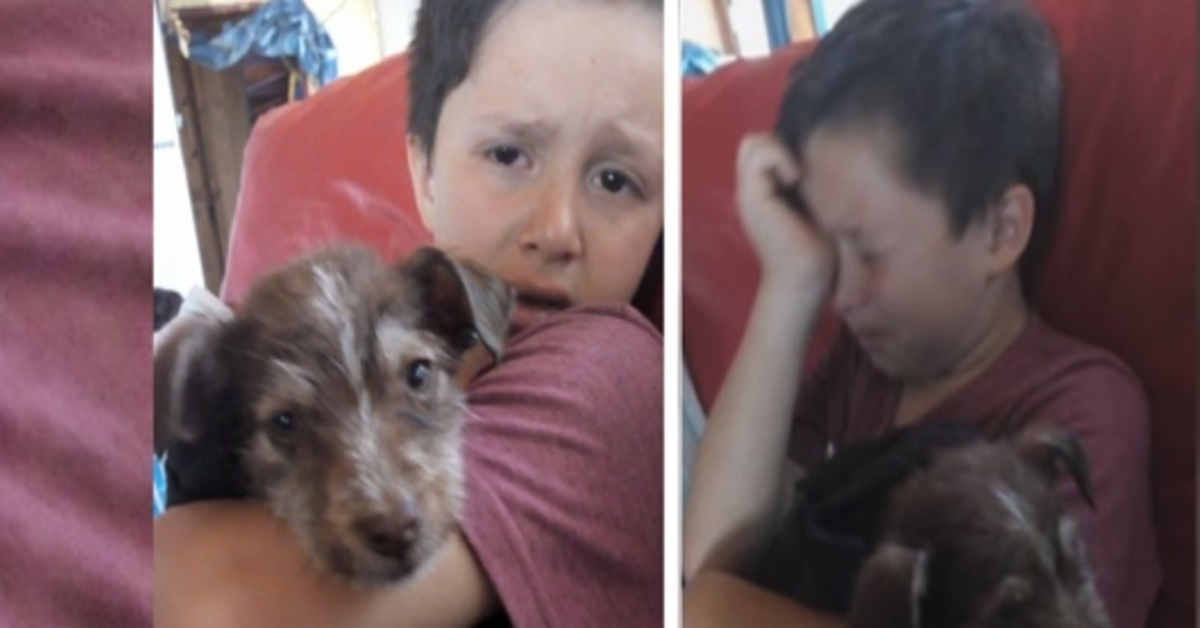 Boy Saves Mistreated Puppy By Other Kids, Takes it To Vet And Now They Are inseparable